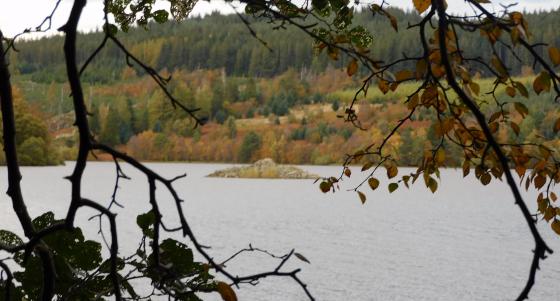 Eilean Nan Clach (Crannog)