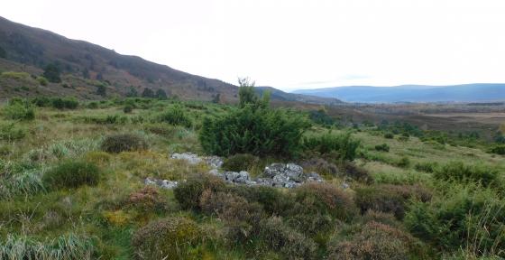 Delbog Cairns (Cairn(s))