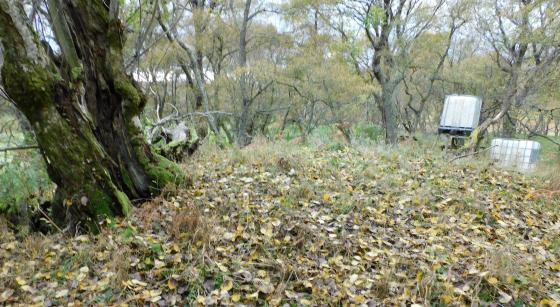 Ballinluig (Cairn(s))