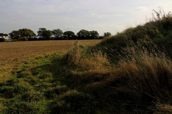 Mill Mound, Tolleshunt Major (Round Barrow(s))