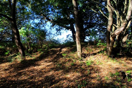 Prittlewell Camp (Hillfort)