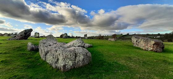 The Great Circle, North East Circle & Avenues (Stone Circle)