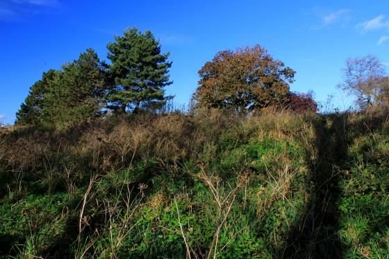 Danish Camp, Shoeburyness (Hillfort)