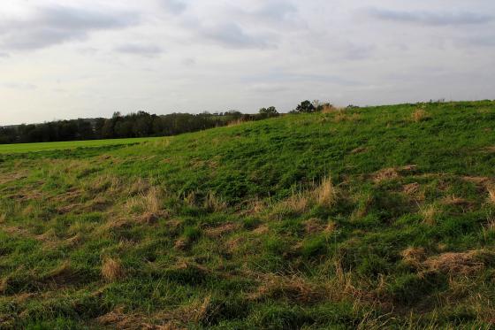 Mill Mound, Salcott-cum-Virley (Round Barrow(s))
