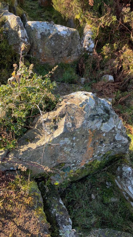 Carnagat (Court Tomb)