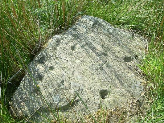 Chisworth (Cup Marked Stone)