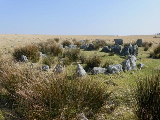 Yellowmead Multiple Stone Circle
