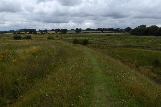 Warham Camp (Hillfort)