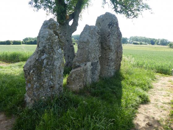Three Menhirs of Oppagne