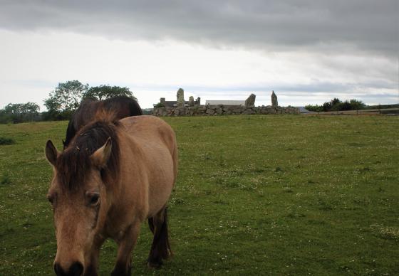 Craighead (Stone Circle)