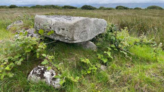 Kilclooney More (Portal Tomb)
