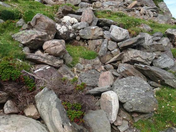 Acairseid an Rubha (Promontory Fort)