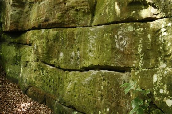 Ballochmyle Walls (Cup and Ring Marks / Rock Art)