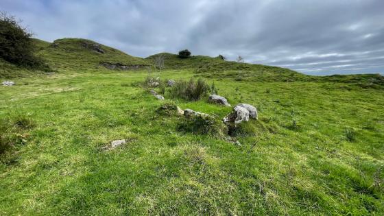 Carrickmacsparrow (Court Tomb)