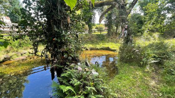 Cavancarragh (Sacred Well)