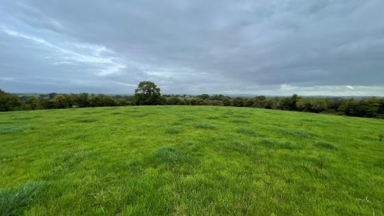 Haughey’s Fort (Enclosure)