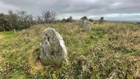 Calliagh (Wedge Tomb)