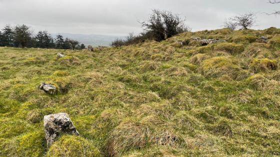 Bigwood (Hillfort)