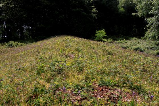 Jackets Field (Long Barrow)