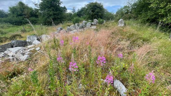 Cohaw (Court Tomb)