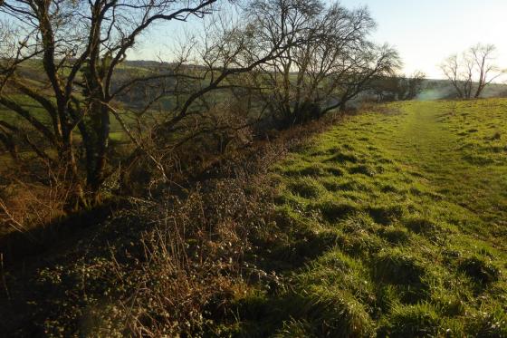 Musbury Castle (Hillfort)