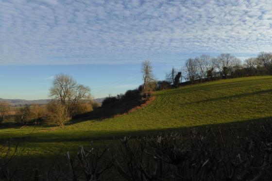 Kilbury Camp (Hillfort)