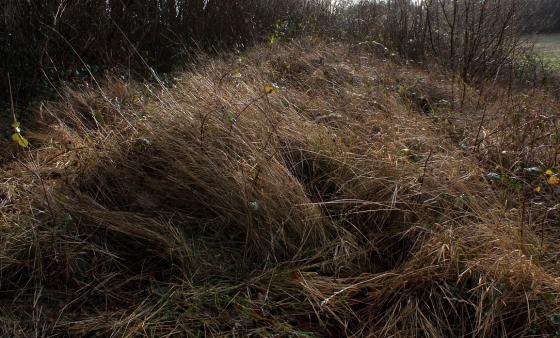 Julliberrie’s Grave (Long Barrow)