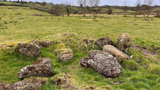 Lislane (Wedge Tomb)