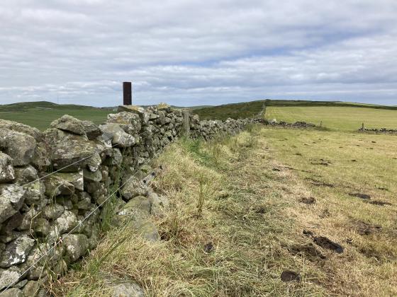 Eagle Cairn (Cardryne) (Cairn(s))