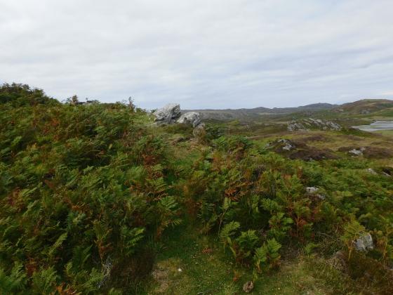Dun Cholla (Hillfort)
