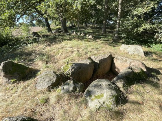 Futterkamp 1 (Long Barrow)