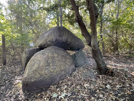 Albertsdorf (Fehmarn) (Dolmen / Quoit / Cromlech)