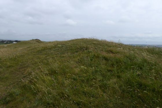 Brea Hill (Round Barrow(s))