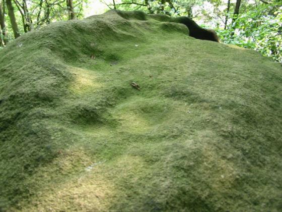 Rowtor Rocks (Cup and Ring Marks / Rock Art)