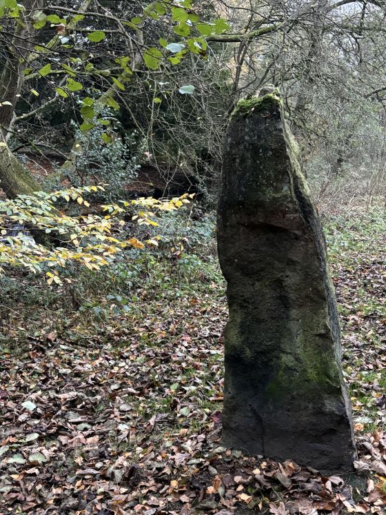 Witch’s Stone (Standing Stone / Menhir)