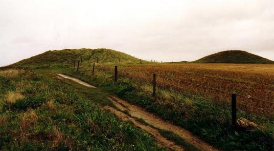 Whipsiderry (Round Barrow(s))