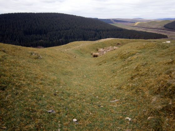 Bailiehill Fort (Hillfort)