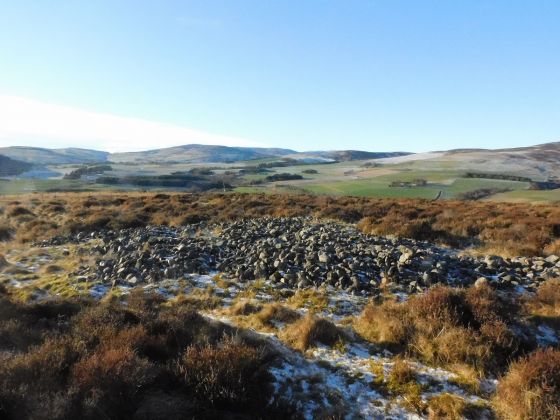 Hill of Edzell 2, 3, 4 & 5 (Cairn(s))