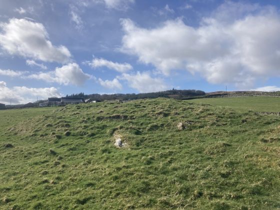 Cairnholy Cairn (Cairn)