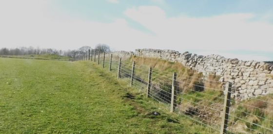 Morangie (Stone Fort / Dun)