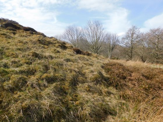 Red Burn (Chambered Cairn)