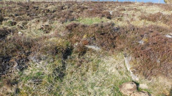 Ardvannie 1 (Kerbed Cairn)
