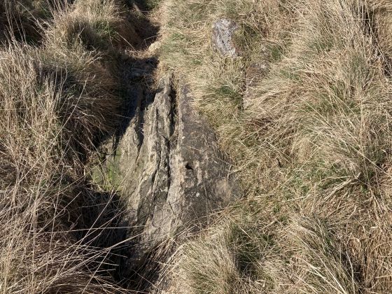 Cairnholy 06 (Cup and Ring Marks / Rock Art)