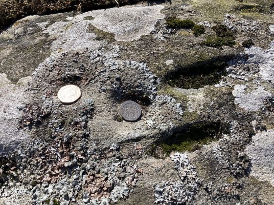 Cairnholy 14 (Cup and Ring Marks / Rock Art)
