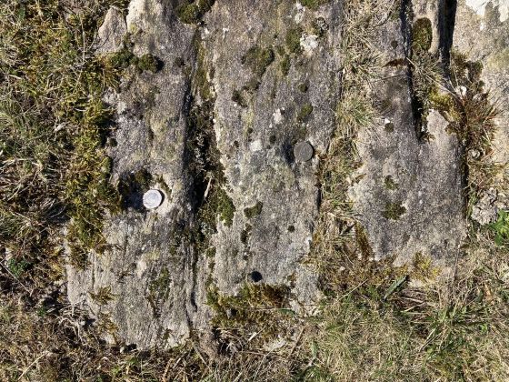 Cairnholy 12 (Cup and Ring Marks / Rock Art)