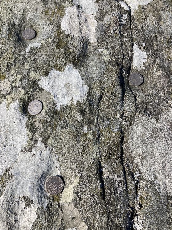 Cairnholy 13 (Cup and Ring Marks / Rock Art)