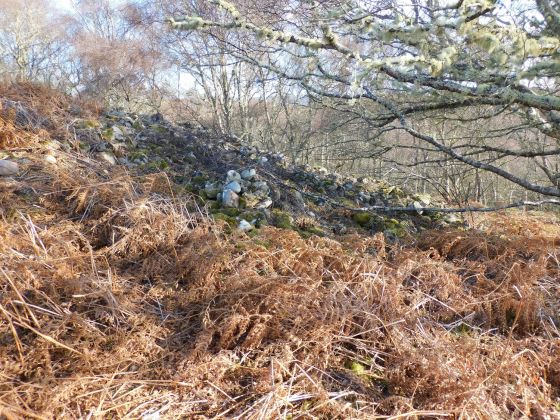 Ardvannie 2 (Cairn(s))