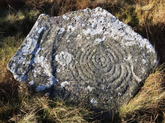 Cambret Moor (Cup and Ring Marks / Rock Art)