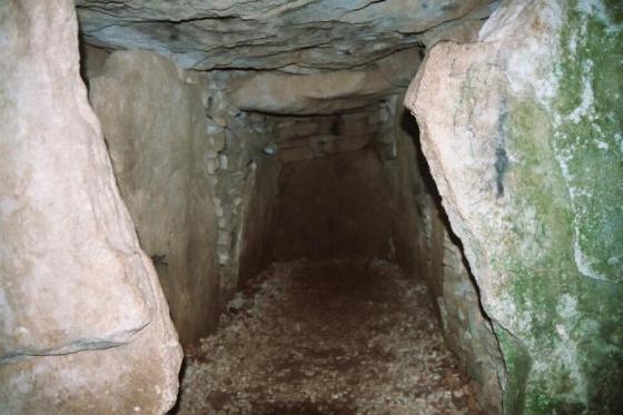 Hetty Pegler’s Tump (Long Barrow)