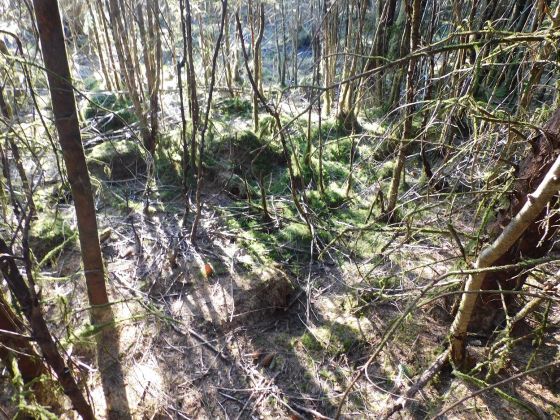 Achnashelloch (Cairn(s))